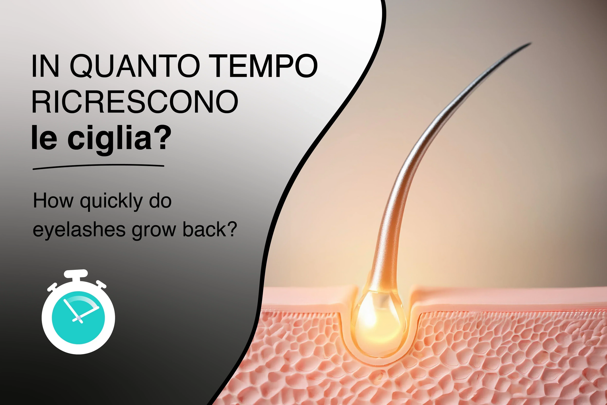In quanto tempo ricrescono le ciglia?